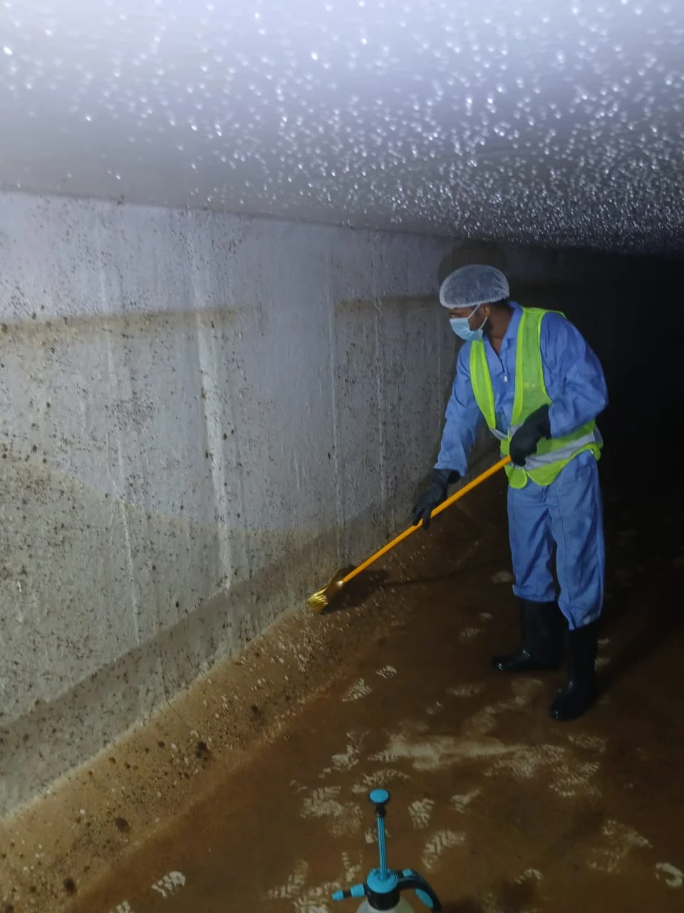 Technician disinfecting the inside wall of a water tank in Dubai — supporting project view 1