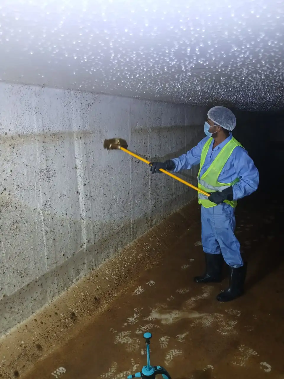 Water tank disinfection work at a Dubai property